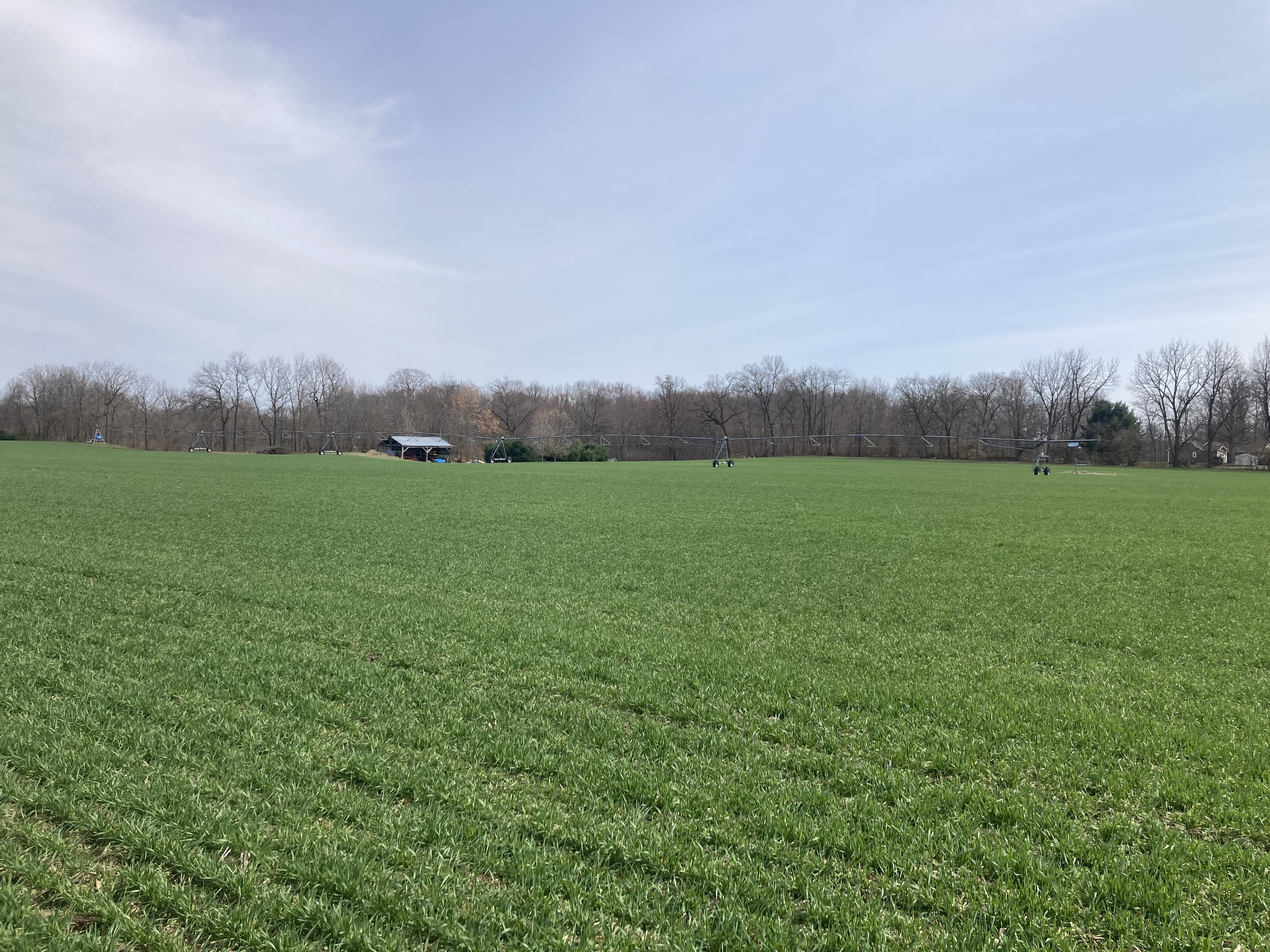 Nicolle Ritchie WW 3 31 25.jpg